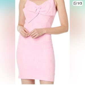 Lilly Pulitzer Willayn dress